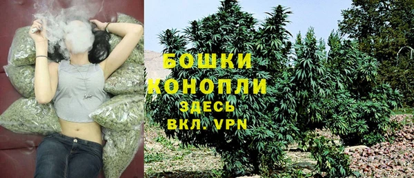 ПСИЛОЦИБИНОВЫЕ ГРИБЫ Зеленокумск