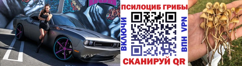 Купить  Ефремов  Галлюциногенные грибы Psilocybe 